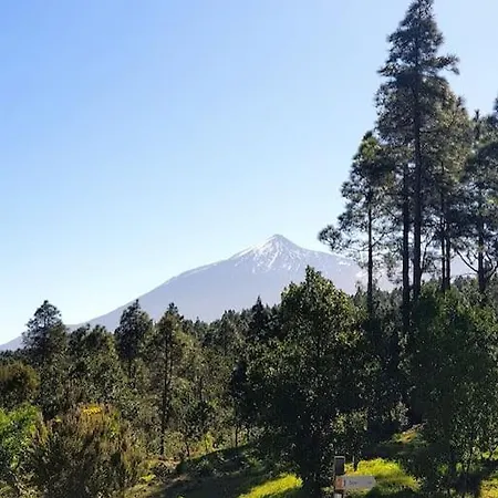 Апартаменты Hikers Haven Courtyard Tamaimo Tenerife Сантъяго-дель-Тейде